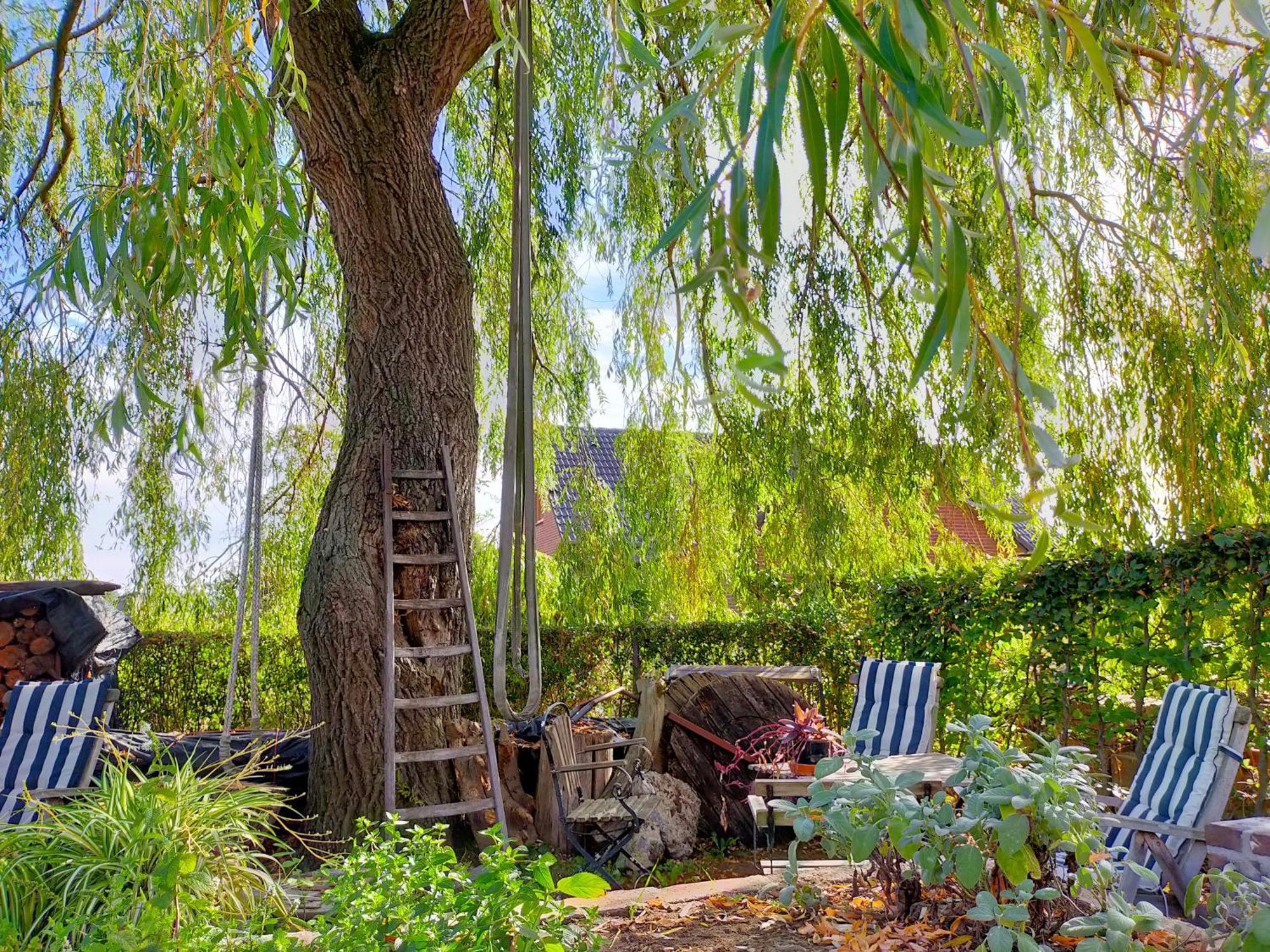 Bed and Breakfast Aan De Molenberg Broekhuizen  Экстерьер фото