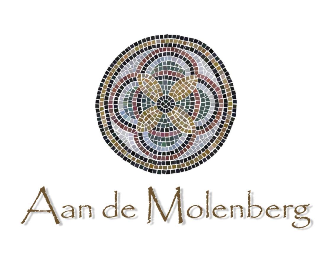 Bed and Breakfast Aan De Molenberg Broekhuizen  Экстерьер фото